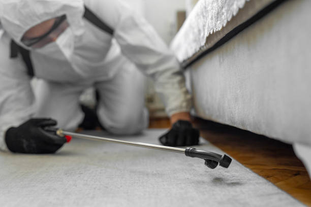 Professional Bed Bug Control technician working in Reedsburg, WI